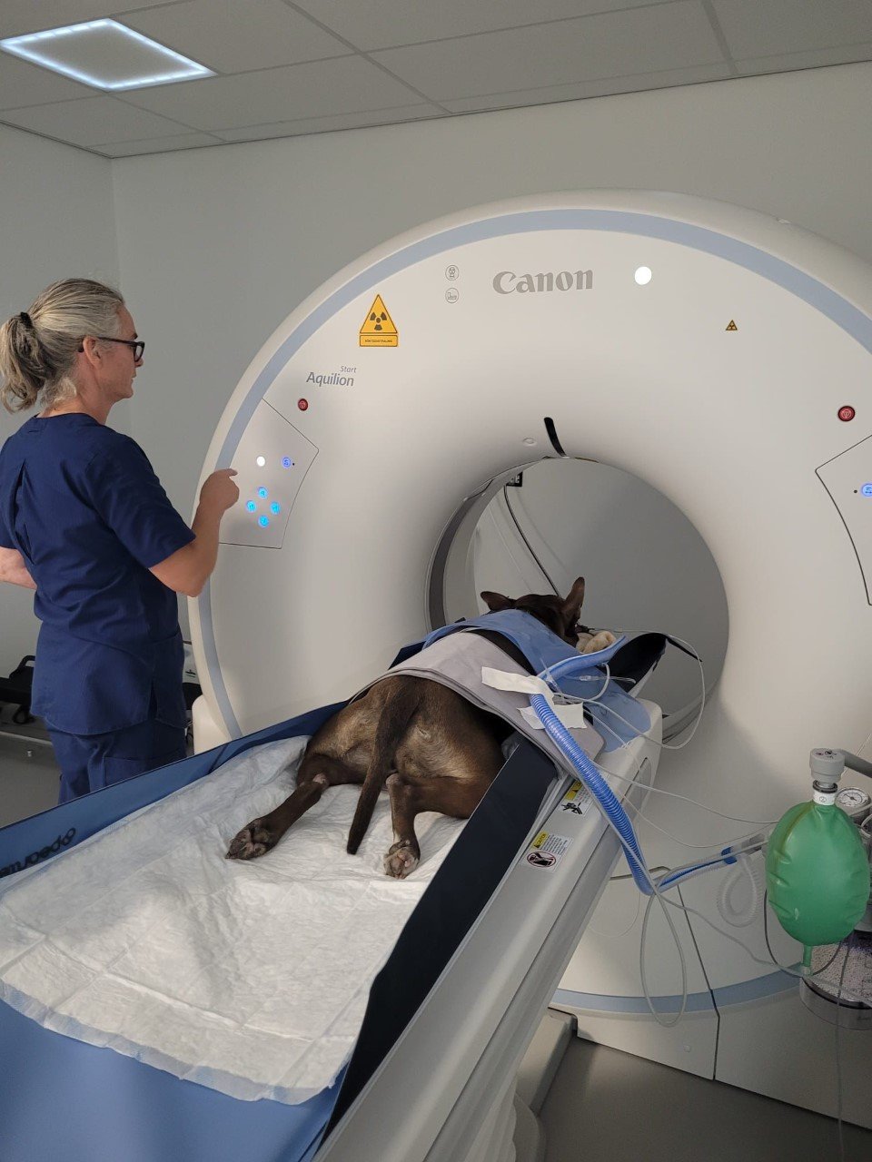 Een hond liggend op een machine.